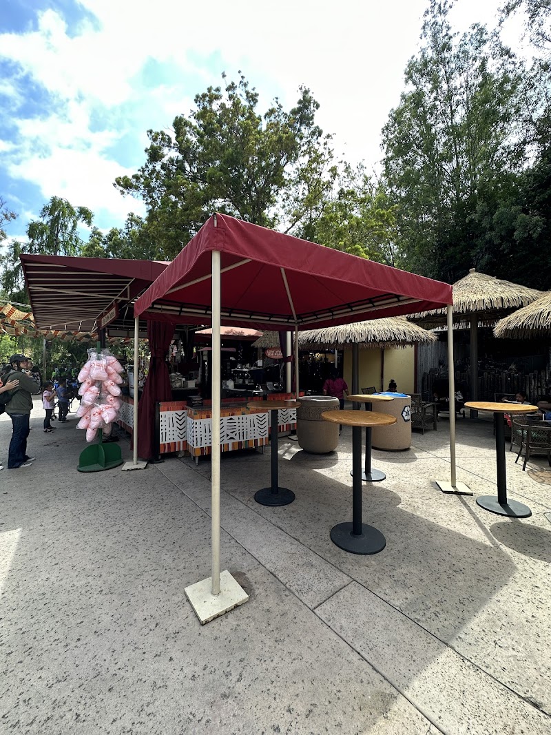 Safari Coffee Outpost