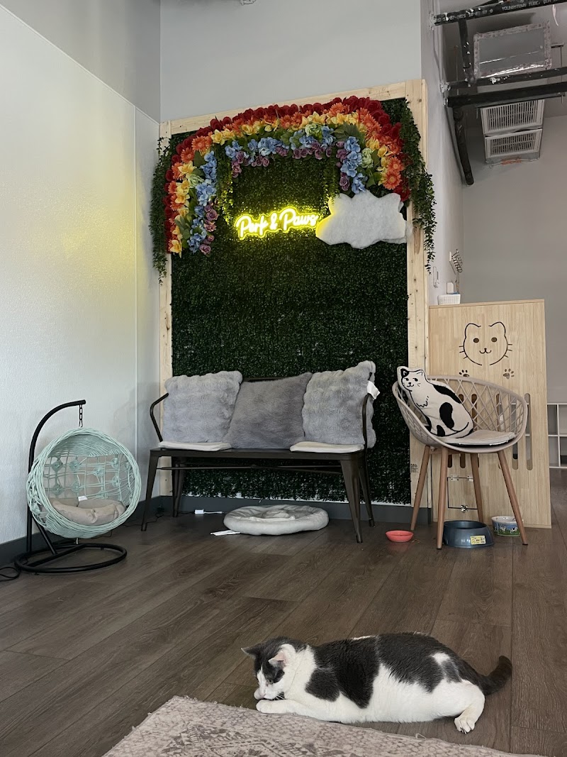 Perk and Paws Cat Cafe