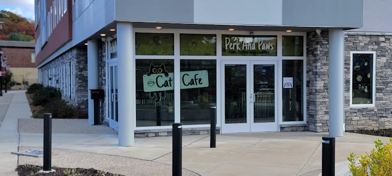 Perk and Paws Cat Cafe