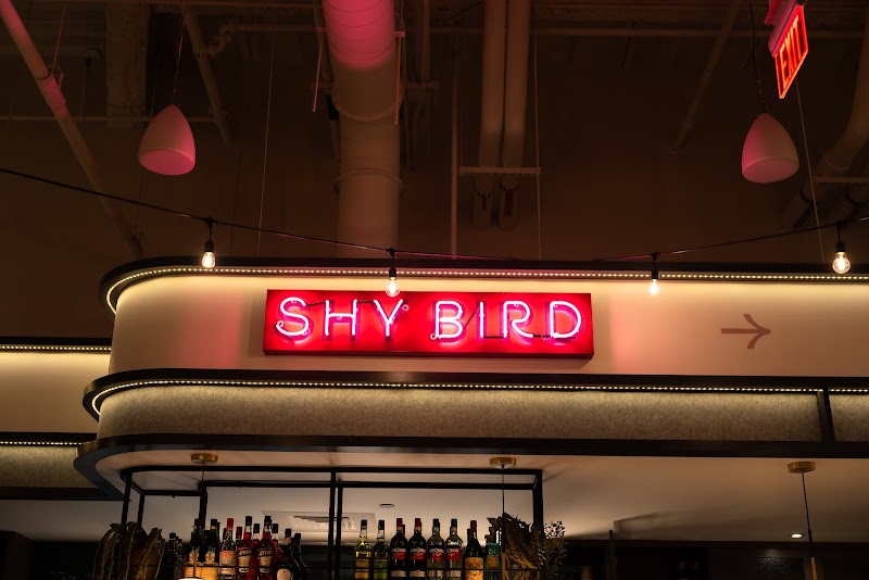 Shy Bird - Fenway