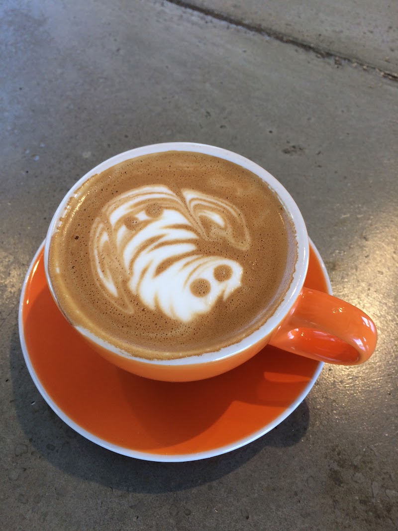 Prodigy Coffeehouse / 40th & Colorado