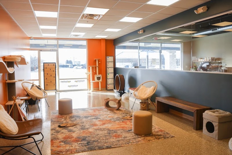 Smitten Kitten Cat Cafe and Coffee Shop