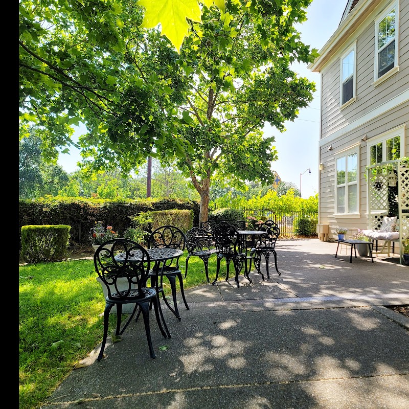 Fleur Sauvage Chocolates