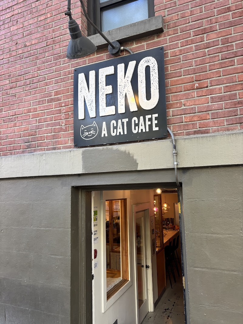 ネコネコcafe  NEKO Cat Cafe Seattle - Seattle, WA | joe coffee