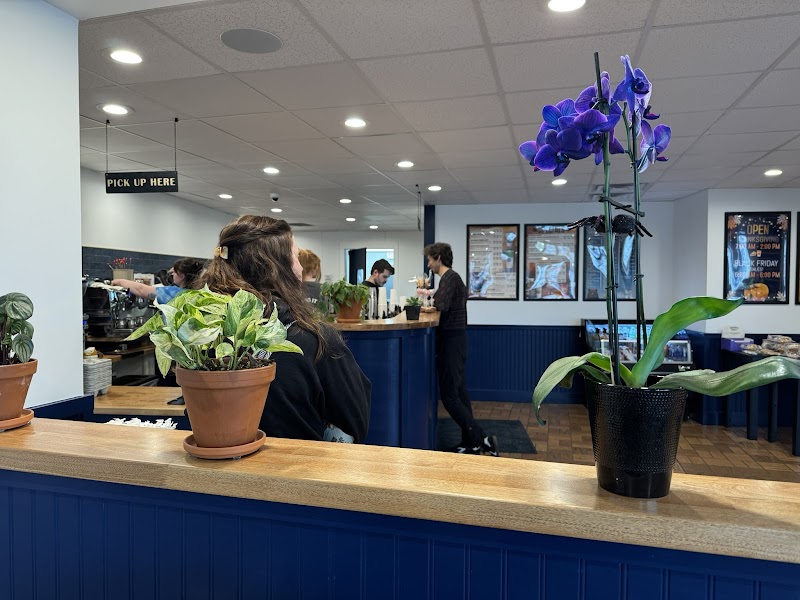 The Coffee Revolution