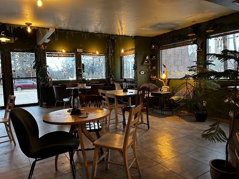 Misty Mountain Collective