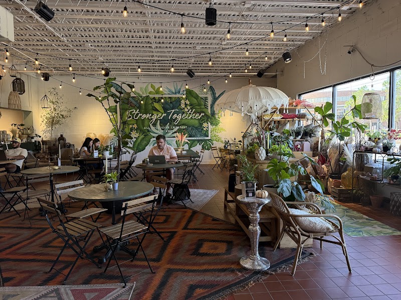 Black Phin Coffee Bar