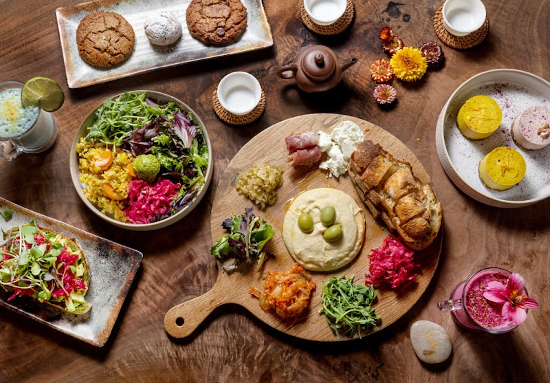 Soft Medicine Sanctuary