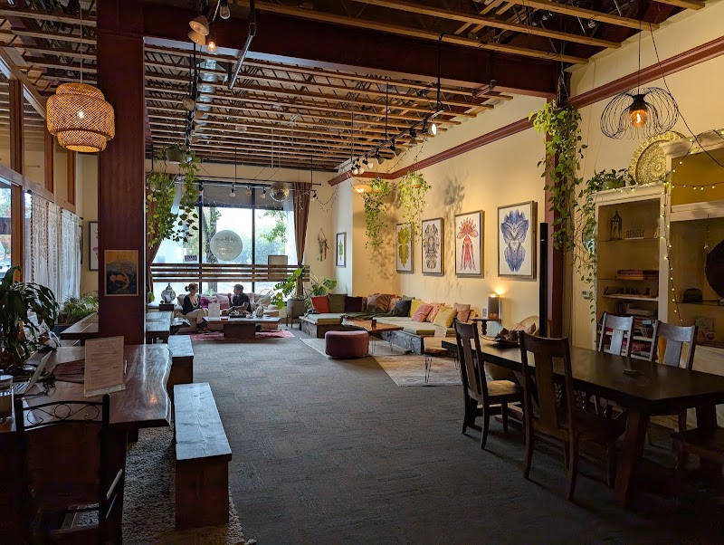 Soft Medicine Sanctuary