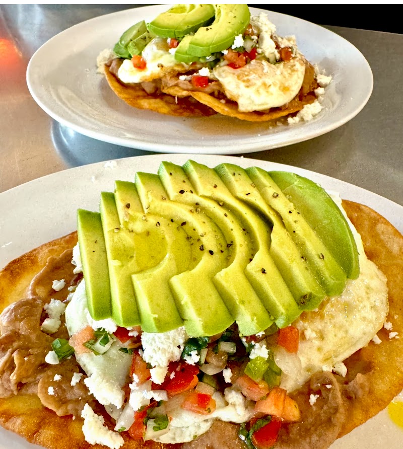 Terrace Café - Oakland Hills