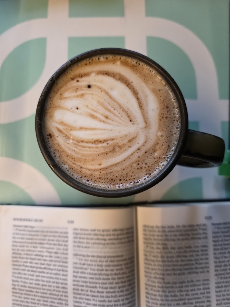 Blue Owl Coffee East Lansing