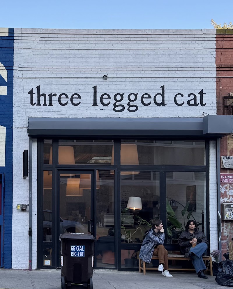 three legged cat