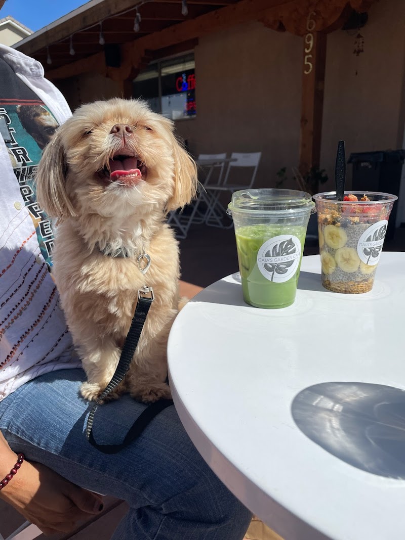Gaia's Garden Cafe