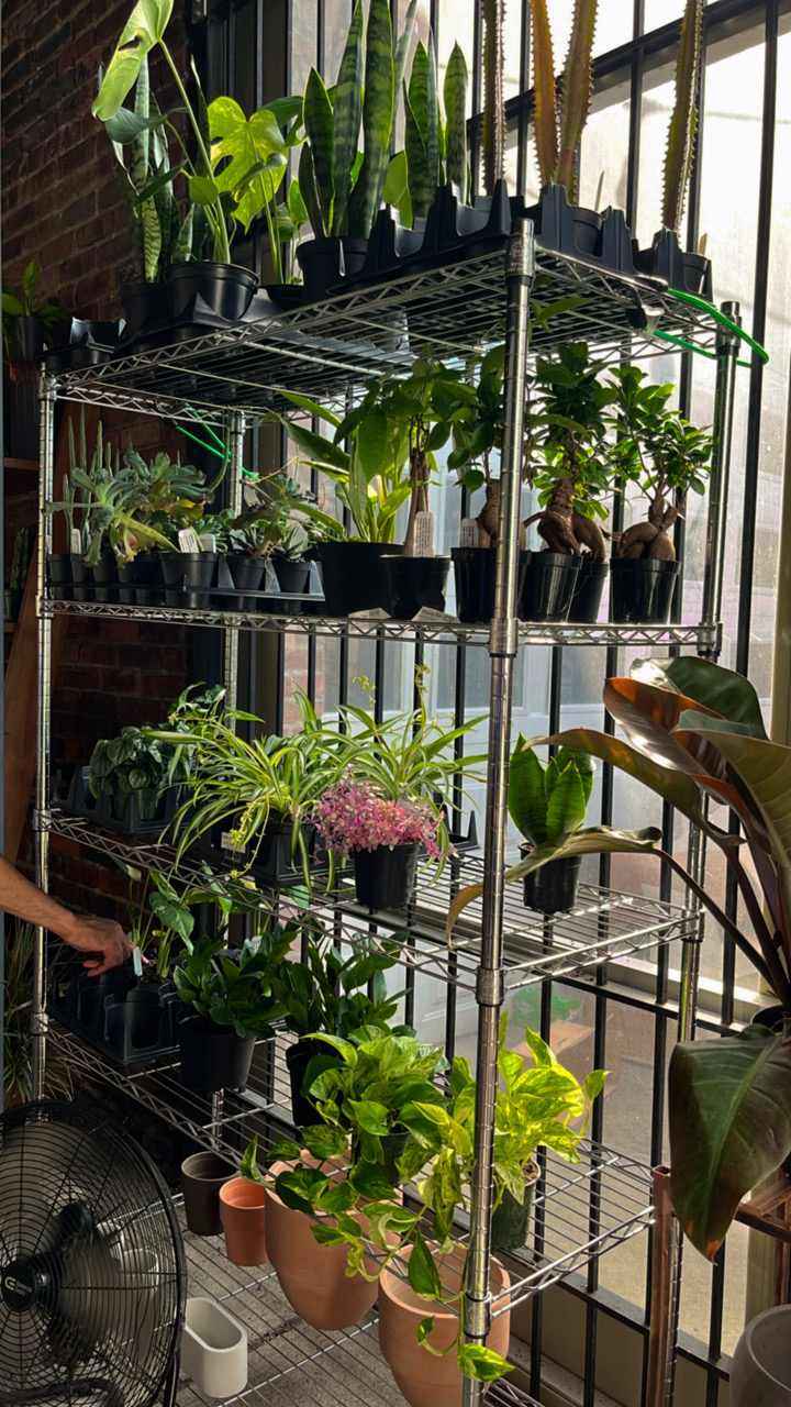 Forks and Farms @Northwest Coffee