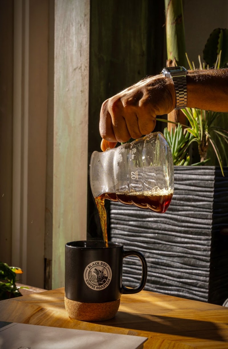 Black Dog Coffee Roasters