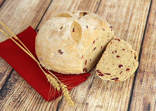 Great Harvest Bread Co. - Mentor, OH