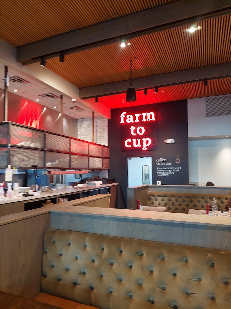 Ascension Coffee - The Star