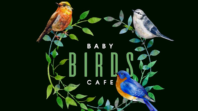 Baby Birds Cafe