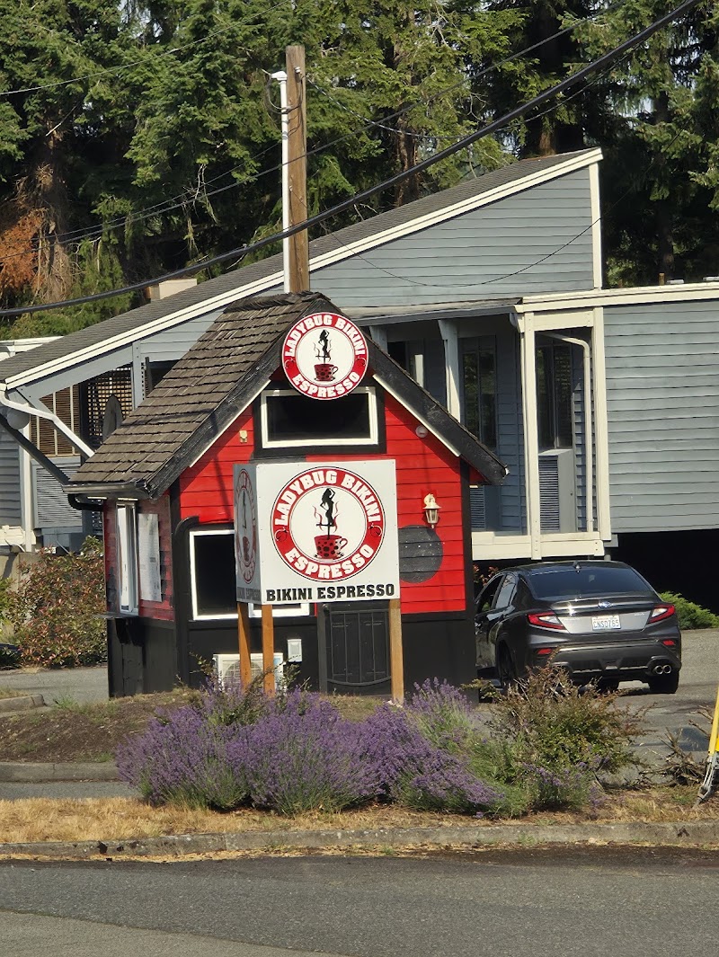Ladybug Bikini Coffee Stand