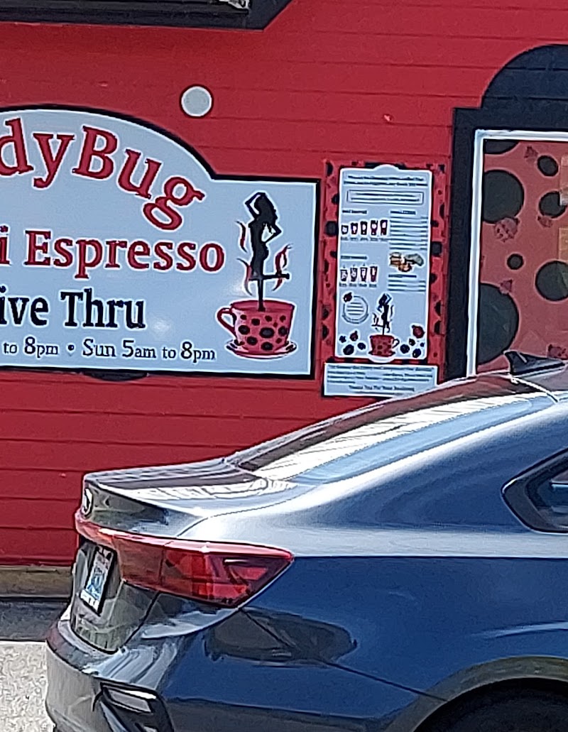Ladybug Bikini Espresso