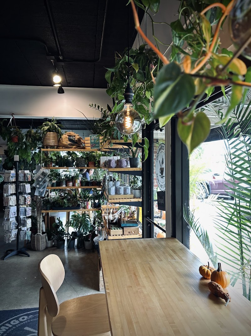 Café Conmigo - Wexford