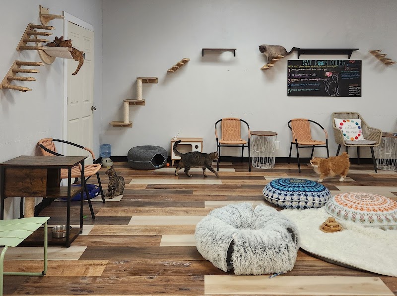 Pawsific Northwest Cat Cafe