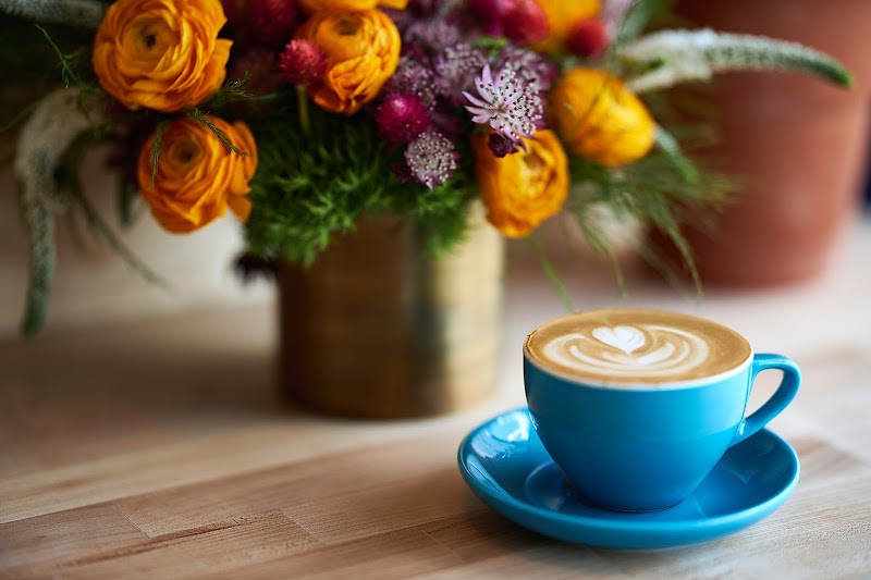 Extra Fine Monte Vista