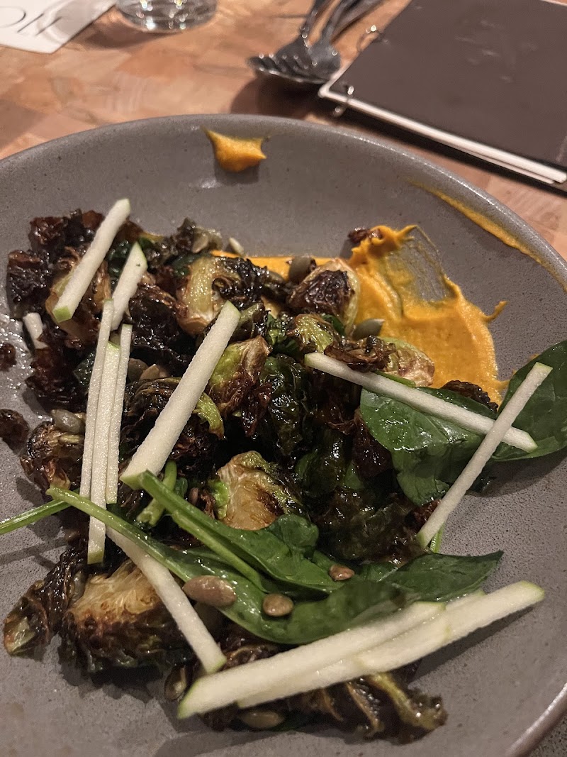 Idol Wolf at 21c St. Louis