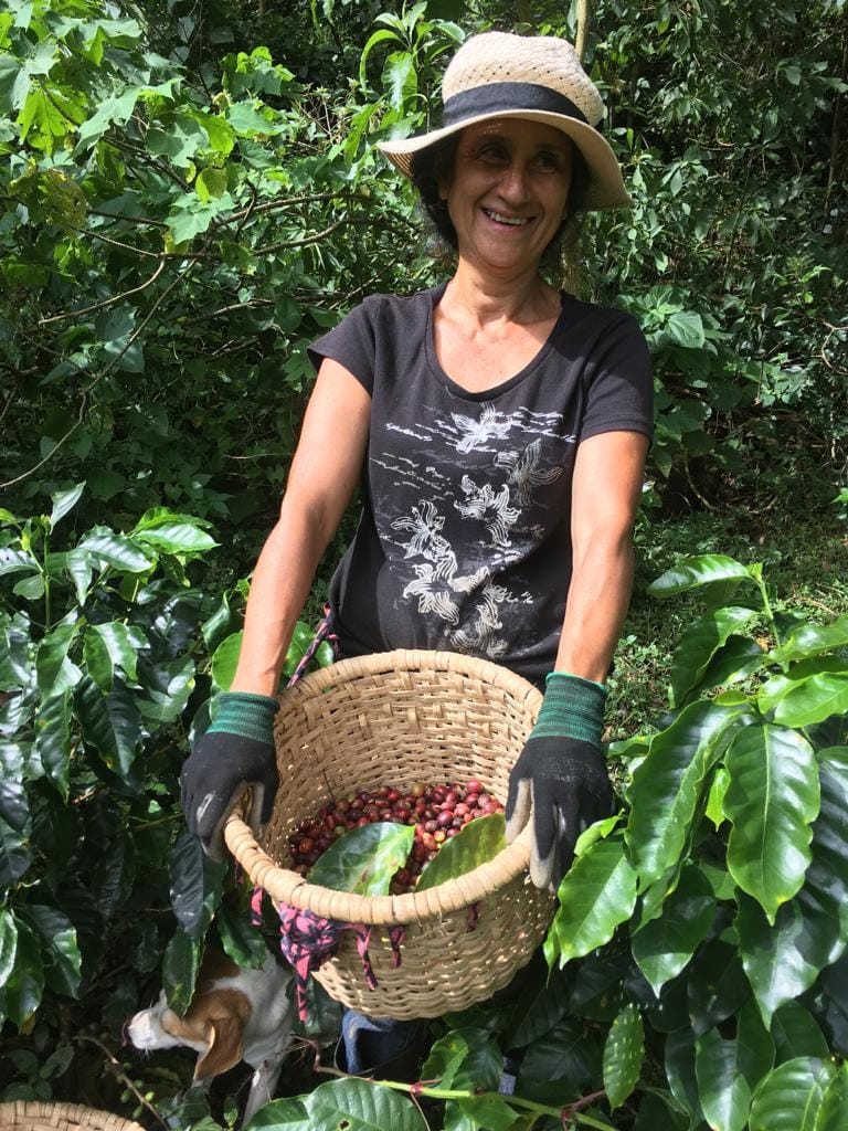 Tres Perros Coffee Co