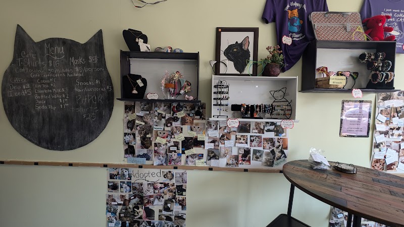 Baristocats Cat Cafe