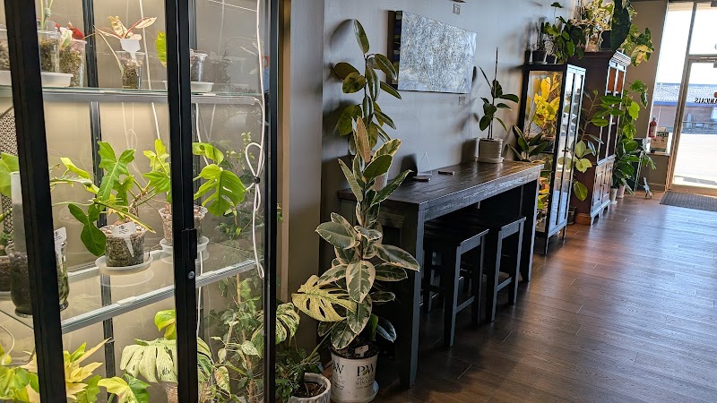 Brewtanicals Coffee House and Plant Lounge