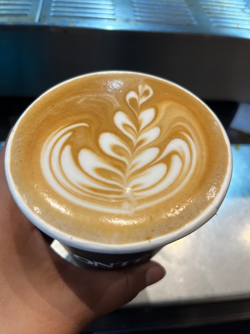Fonté Coffee - Civica