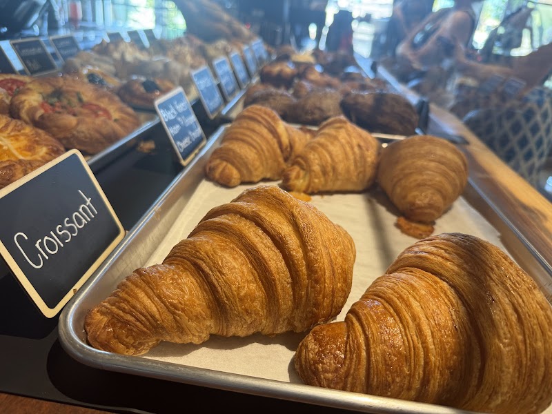 Experiment Coffee and Pastry Scottsdale