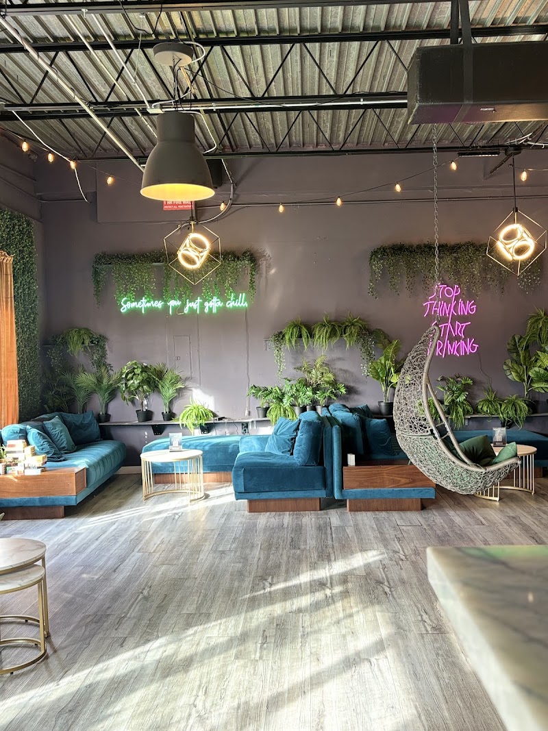 Heights Kava Lounge (Coffee , Kava, Kombucha, Herbal tea, Hookah)