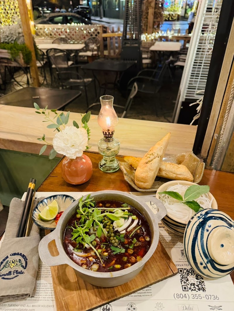 Sen Organic Small Plate