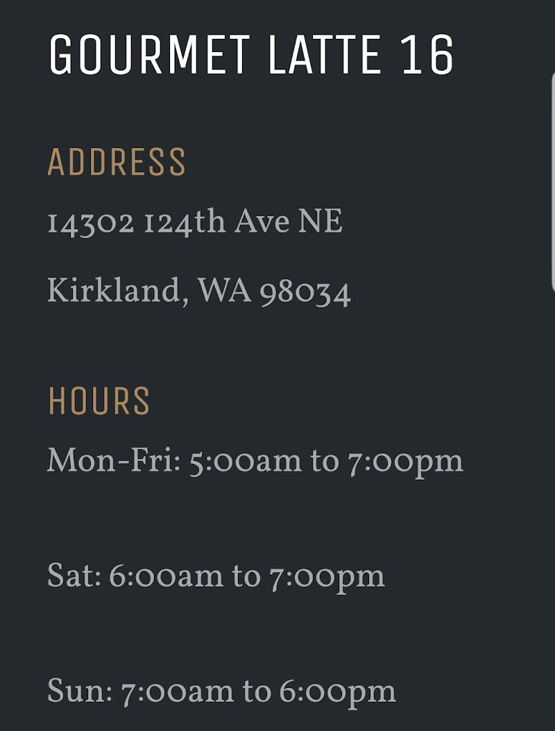 Gourmet Latte #16