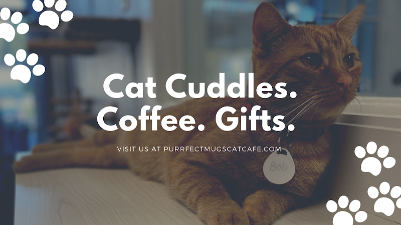Purrfect Mugs Cat Cafe