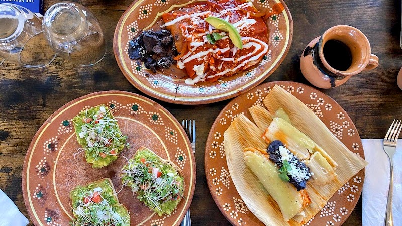 Brew Tulum Specialty Coffee Experience