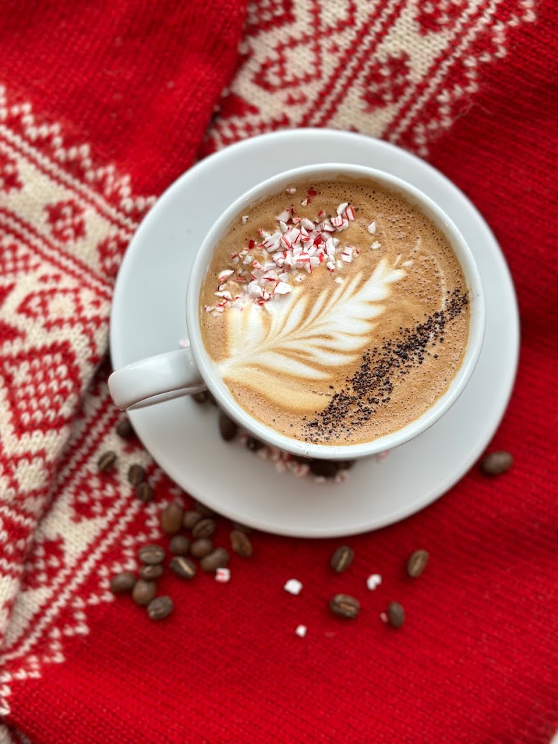 Lazy Suzy Cafe & Shop