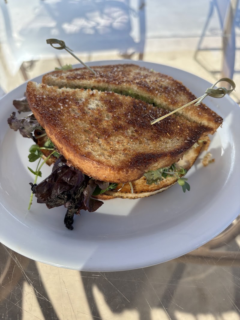 Sweet Sage Coffee Co.