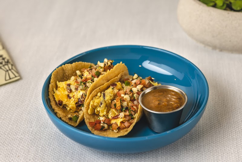 Succulent Coffee Roasters