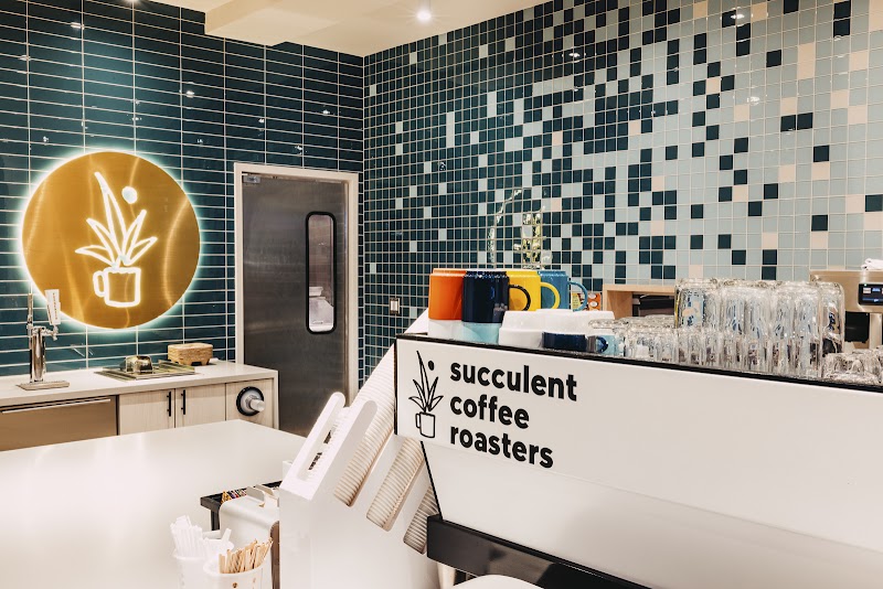 Succulent Coffee Roasters