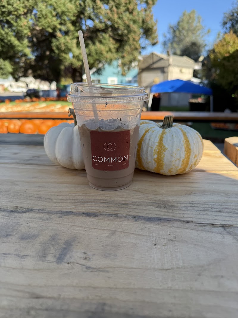 Common Coffee Elk Grove