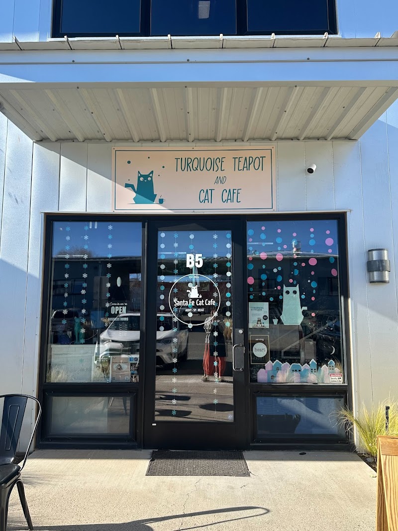 Turquoise Teapot and Cat Cafe