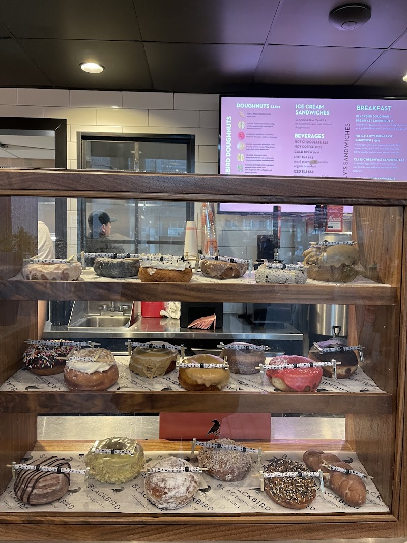 Sally's Sandwiches Harvard Square