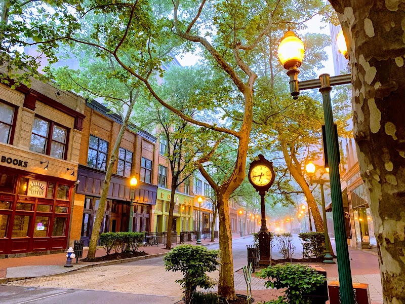 Downtown Charleston Historic District