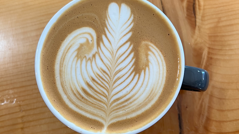 Dandy Lion Coffee Co.