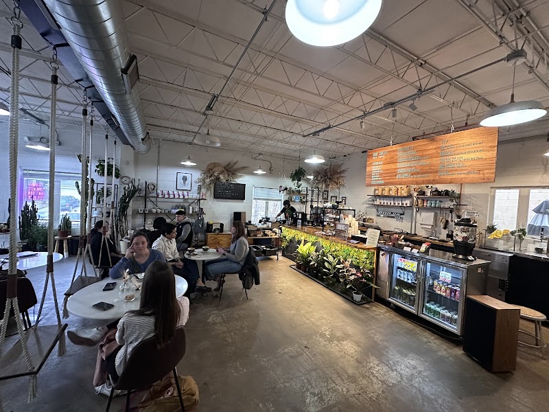 Dandy Lion Coffee Co.