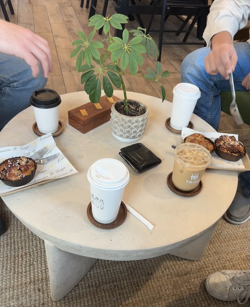 Tribe Café & Atelier