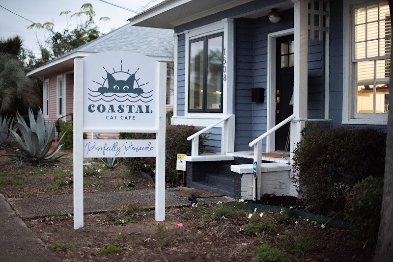 Coastal Cat Cafe